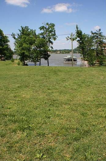 Lot View