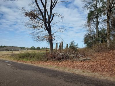 Beech, Big Sandy, TX, 75755