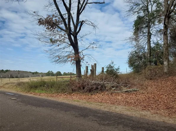 Beech, Big Sandy, TX 75755