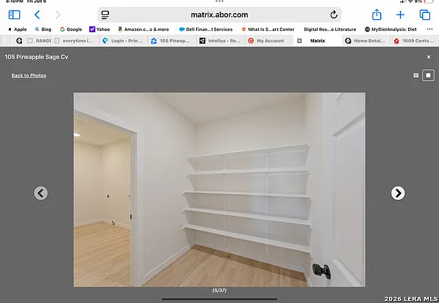 105 Pineapple Sage Cv — Photo 6