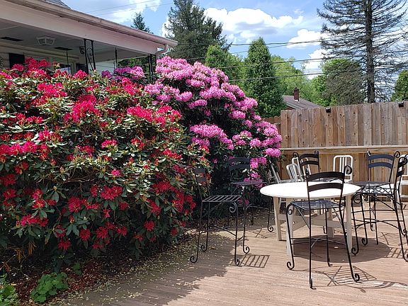 Back Deck
