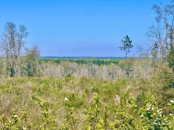 LOT-10C Cotton Lake Rd, Molino, FL 32577