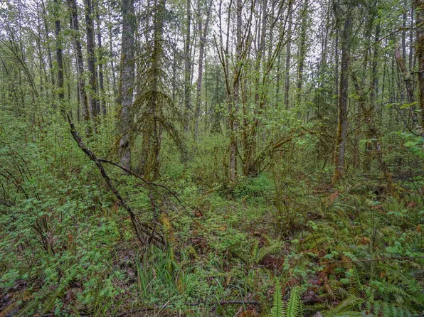 NE 82nd Ave #E, Battle Ground, WA 98604