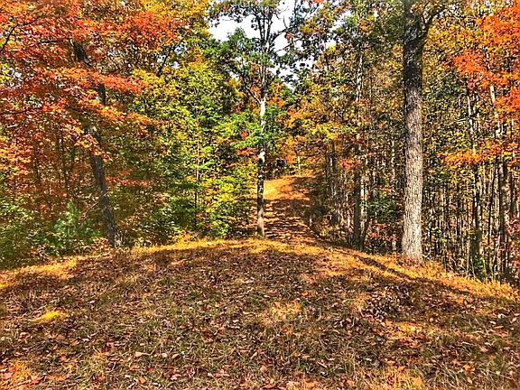 4th image of 2780 LOT Donihue Pl