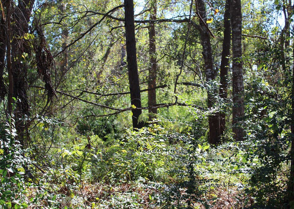 2nd image of 4368 Rounding Run Rd SW