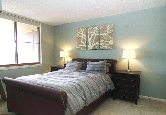 Large Bedroom with Walk-In Closet