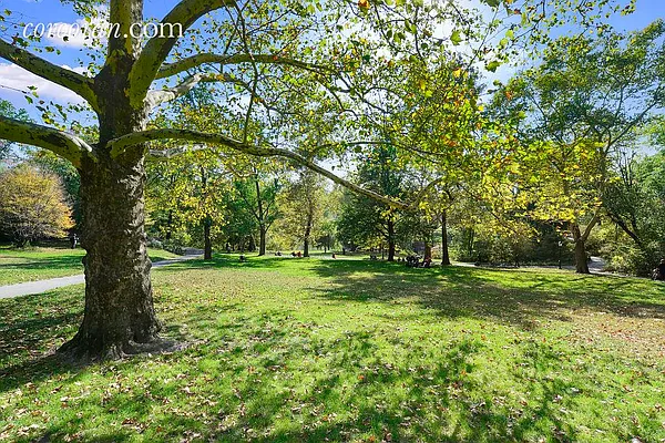 Rented by Corcoran | media 17