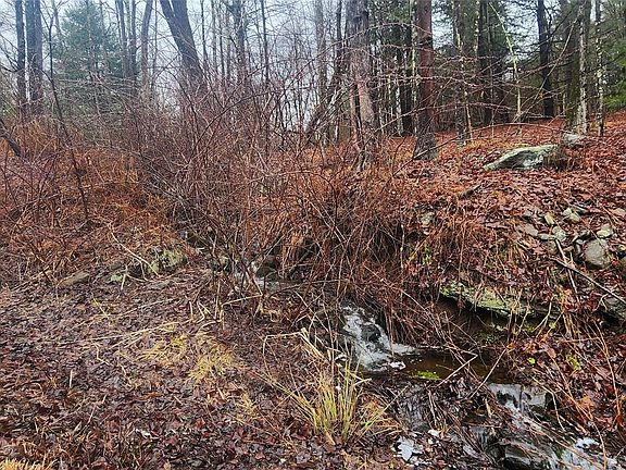 4th image of Thompson Road