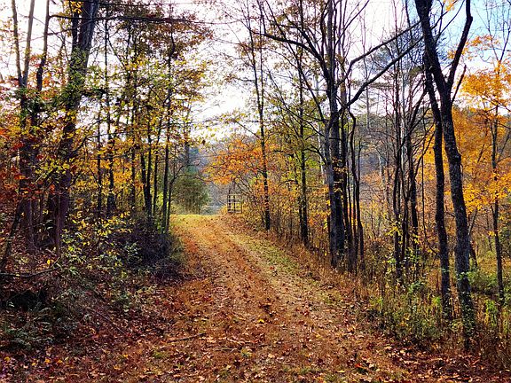 2nd image of 0 State Route 139