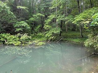 Black Mountain Rd, Hartford, TN 37753