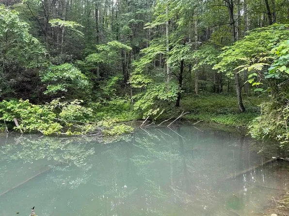 Black Mountain Rd, Hartford, TN 37753