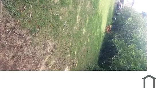1 bed, $950 — Photo 4