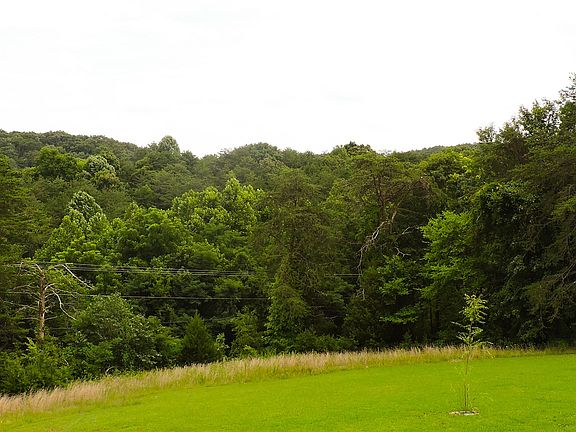 view from back porch