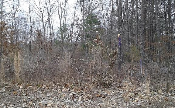 5th image of 671 Hallman Farm Ln