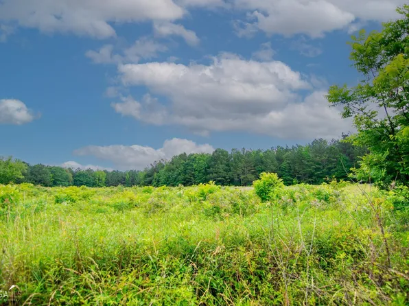 0 Frank Ellison Rd, Pine Mountain, GA 31822