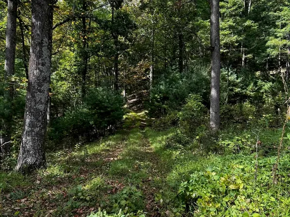 Rocky Branch Rd, Luray, VA 22835