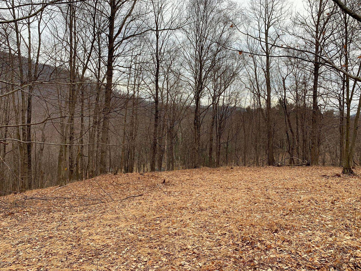 Sportsman Ln, North Bend, PA 17760 Zillow