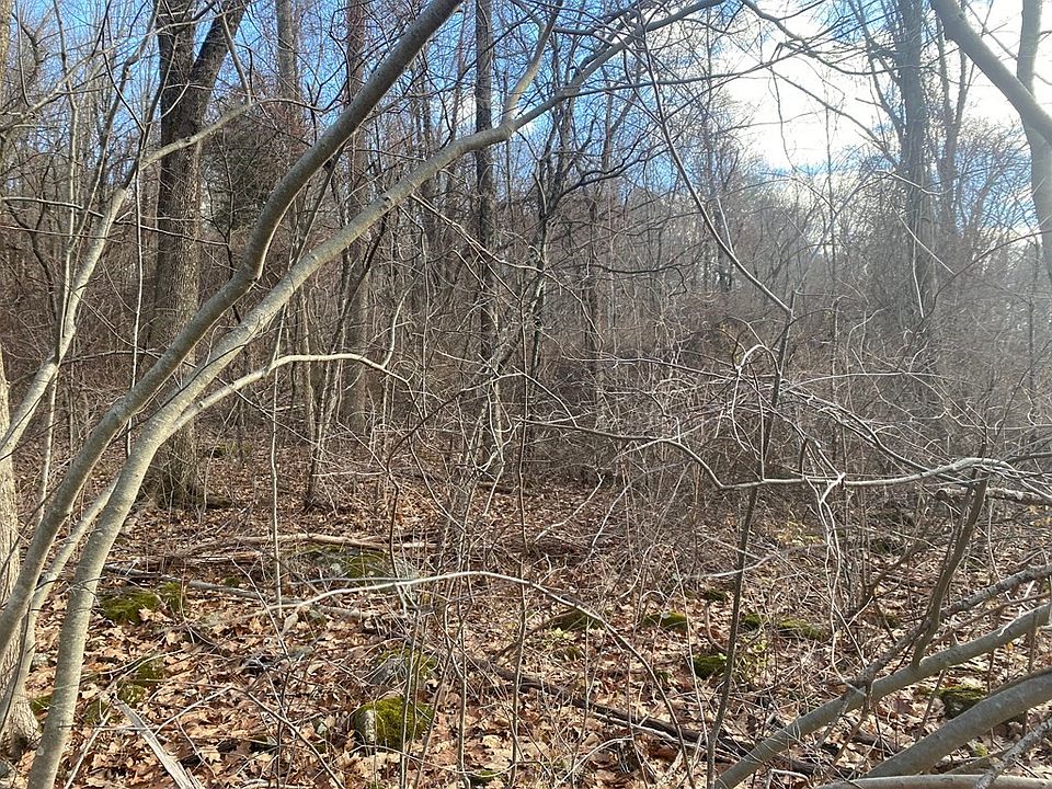 2nd image of 9A Oneil Rd