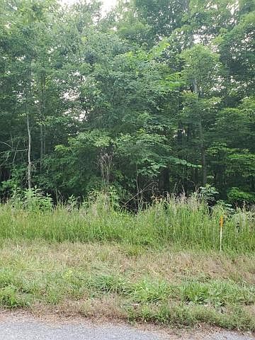 2nd image of Bluff View Rd