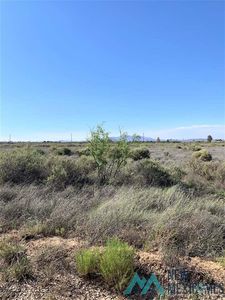 San Isidro Rd SE, Deming, NM, 88030