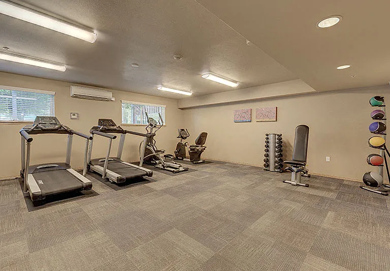 Workout in the Gym