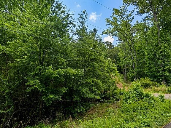 4th image of 7253 Mountain View Ln