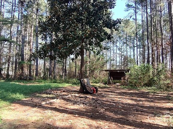 5th image of 5030 Pine Springs Dr
