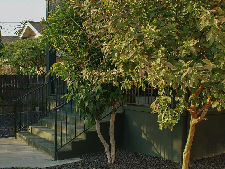 1807 Montana St #1 — Photo 18