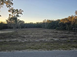 SW 136th Court Road B Lot 130, Dunnellon, FL 34432