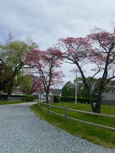 (Undisclosed Address), Portsmouth, RI, 02871