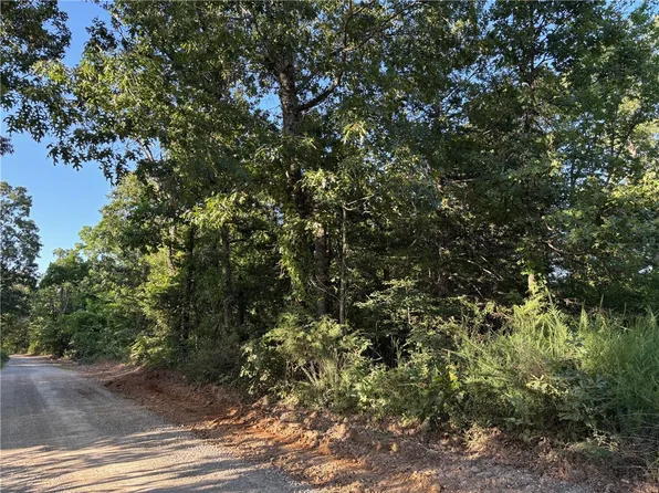 TRACT 4B & 4c Ml #5056, Everton, AR 72633