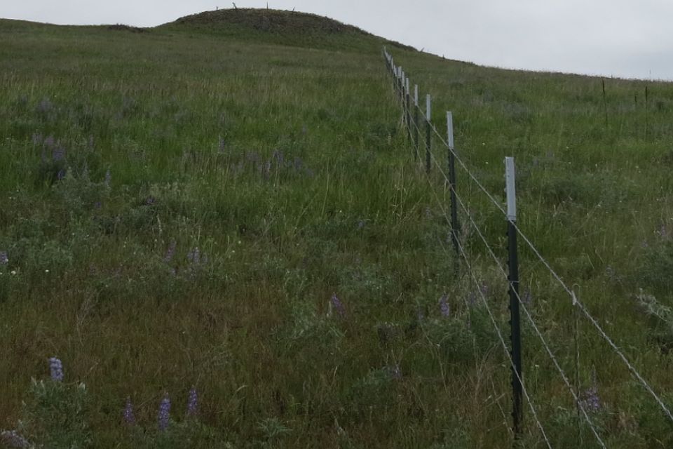 This property is beautiful