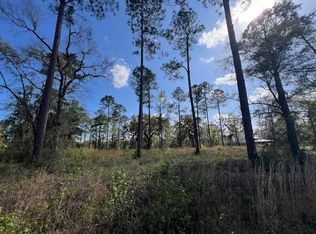 463 Salt Creek Way E, Brunswick, GA 31523