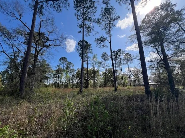 463 Salt Creek Way E, Brunswick, GA 31523