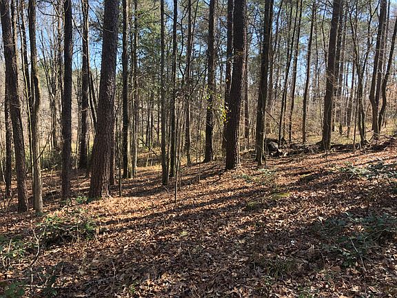 5th image of 4152 Sandy Lake Dr Lot 19