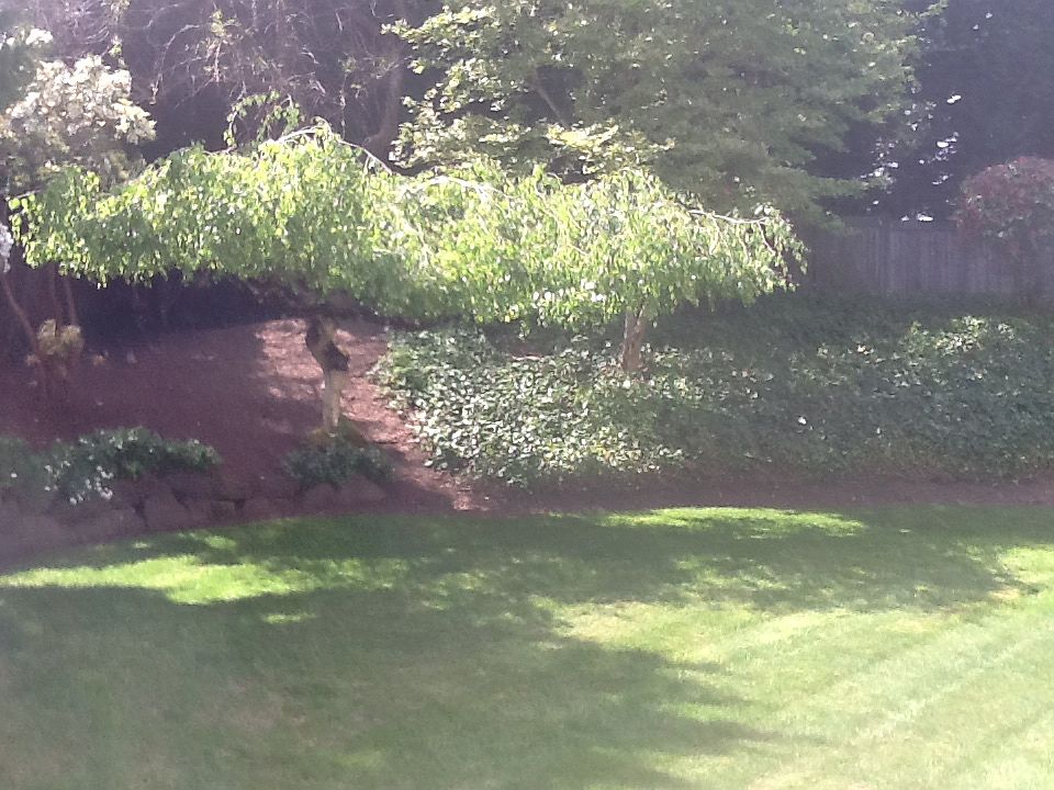 2nd image of 12409 NE 162nd St