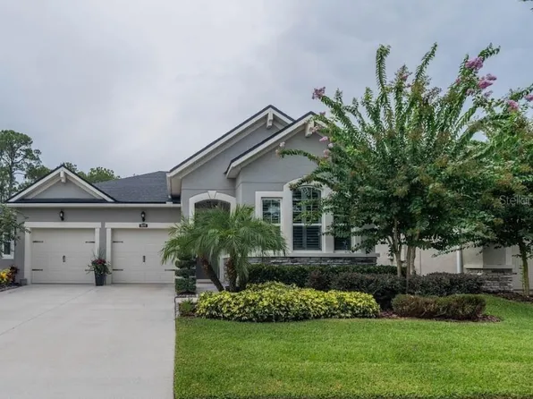 13221 Baby Belle Dr, Riverview, FL 33579