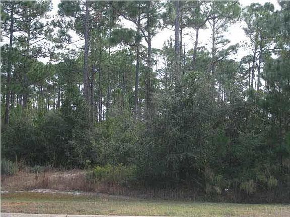 3rd image of 2821 Lynx Trl