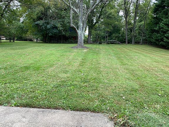 huge quiet private backyard