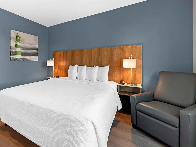 Studio Suite - 1 King Bed