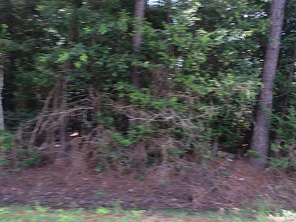 2nd image of 0 County Road 301 S