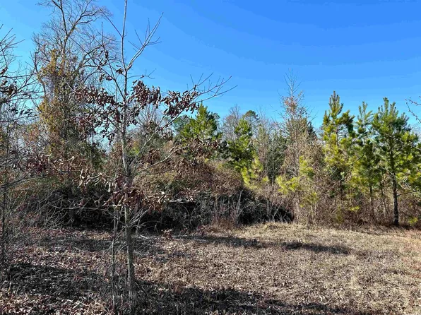 0 Lake Ridge Ln, Traskwood, AR 72167