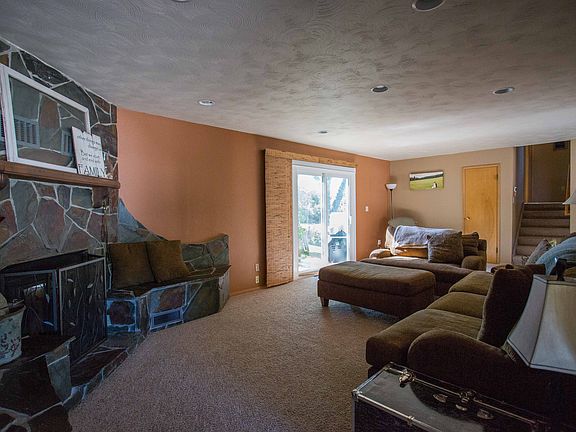 wood burning fireplace