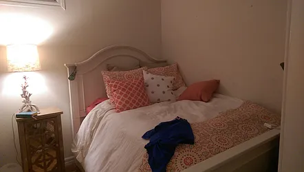 Rented by Manhattan Apartment Organization