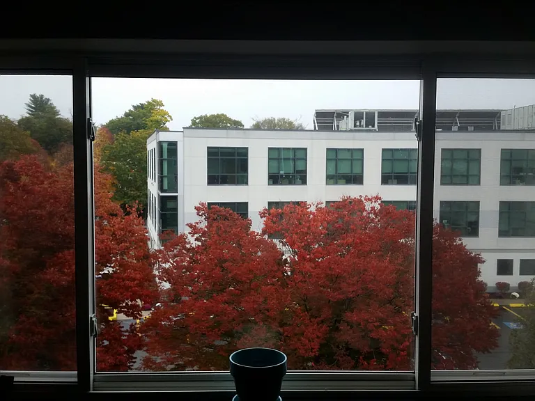 25 Homer Ave #34 — Photo 18