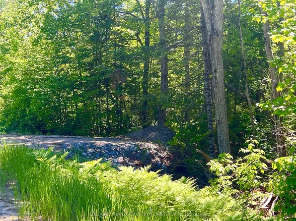 0 Buckshot Lake Rd, Addington Highlands, ON K0H 2M0