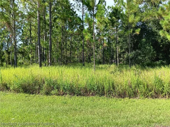 1920 Flower Ter, Sebring, FL 33875