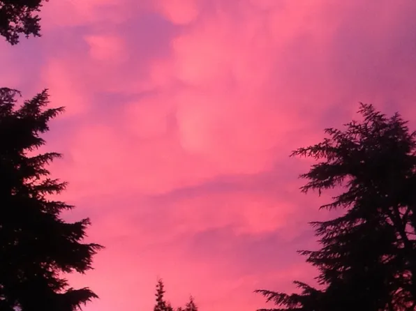 2004 Sunnyview Ln, Mountain View, CA 94040