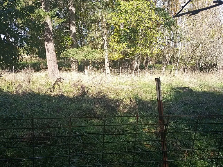 S Monte Cristo Rd — Photo 24