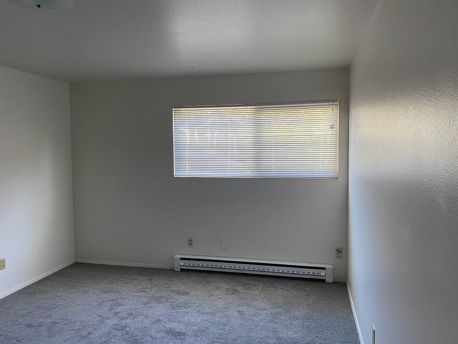 2 bed, 1300 sqft, $2,500 — Photo 3